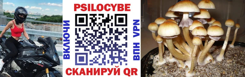 Галлюциногенные грибы Cubensis Мурино