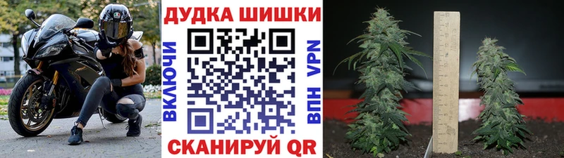 закладка  Мурино  Бошки марихуана THC 21% 
